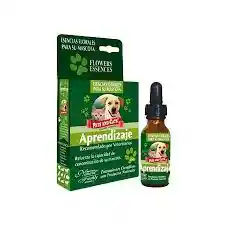 Esencia Aprendizaje X 25 Ml