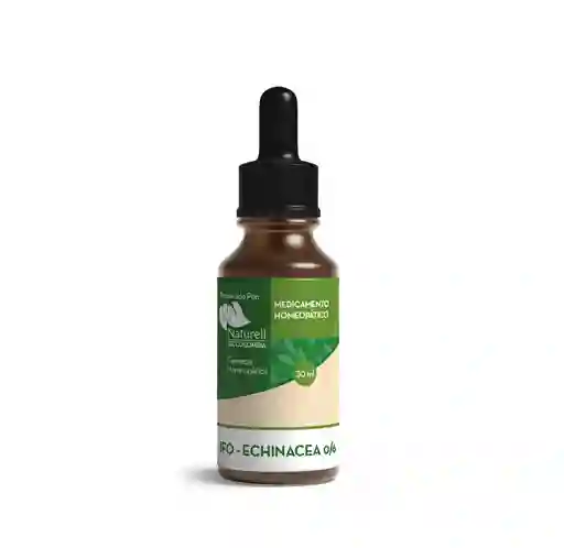 Ifo Echinacea 0/6 X 30 Ml