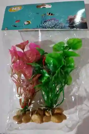 Planta Para Acuario 1