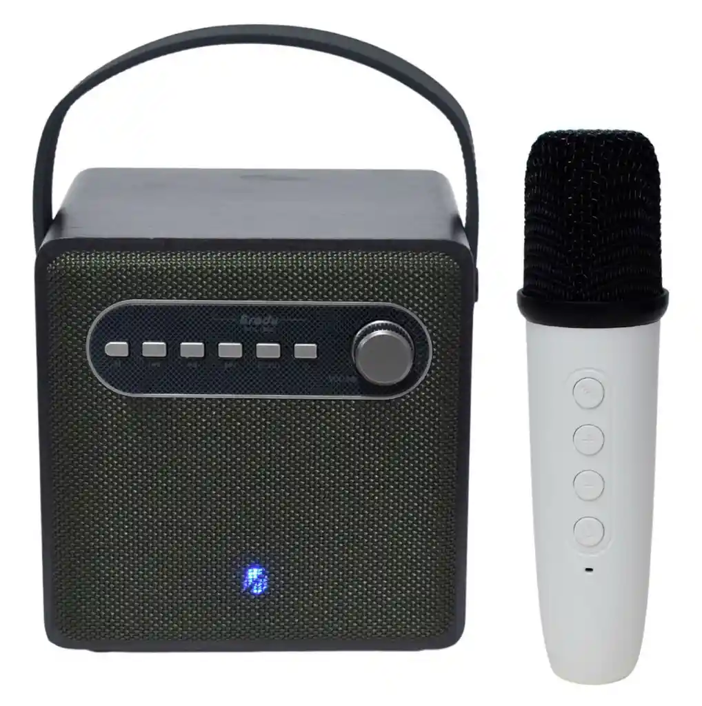 Parlante Karaoke Micrófono Inalambric Recargable 10w Potente