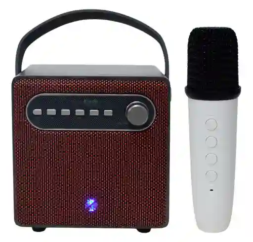 Parlante Karaoke Micrófono Inalambric Recargable 10w Potente