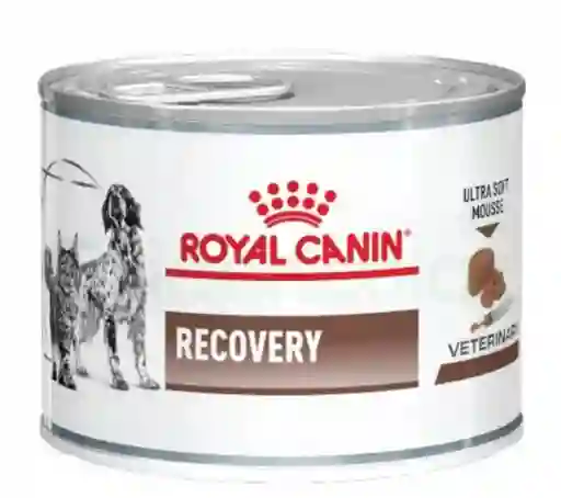 Recovery Royal Canin