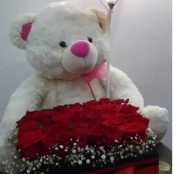 Ramo Con Rosas Rojas + Peluche