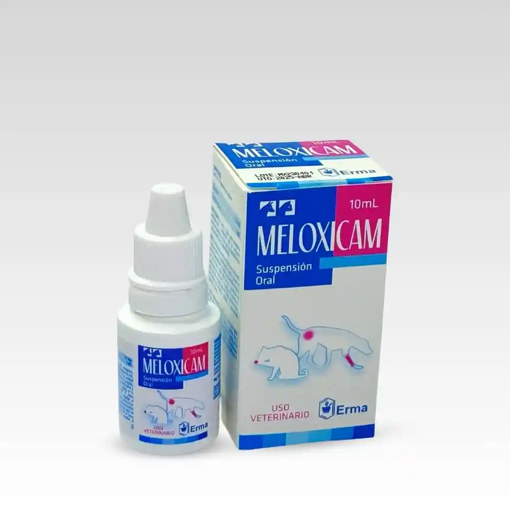 Meloxibest X 10 Ml