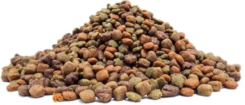 Dog Chow Adulto Razas Pequeñas 22 Kg