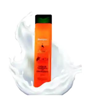 Tratamiento Leche De Zanahoria Y Chontaduro Adara 300 Ml