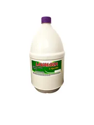 Lavaloza Con Desengrasante Y Vitamina E Biodegradable X 4 Litros