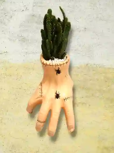 Cactus En Matera Con Forma De Mano Tenebrosa