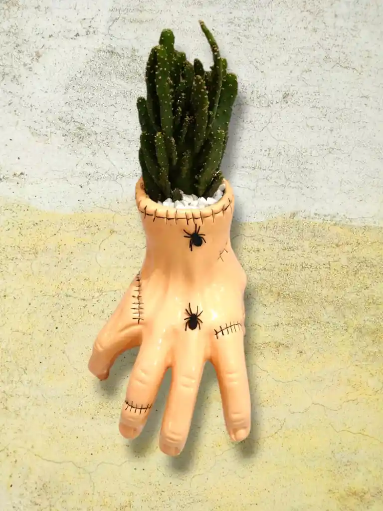 Cactus En Matera Con Forma De Mano Tenebrosa