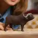 Figura Coleccionable Animales Búfalo Pintada A Mano Schleich