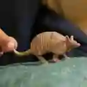 Figuras Coleccionables Animales Armadillo Pintada A Mano Schleich