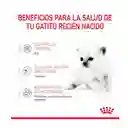 Royal Canin Baby Cat Milk Lactoreemplazador