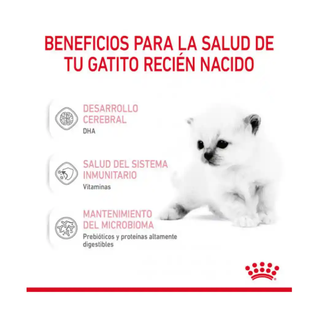 Royal Canin Baby Cat Milk Lactoreemplazador