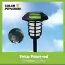 Smart Solar Xl Pathway Lights Blanco 1 Modes