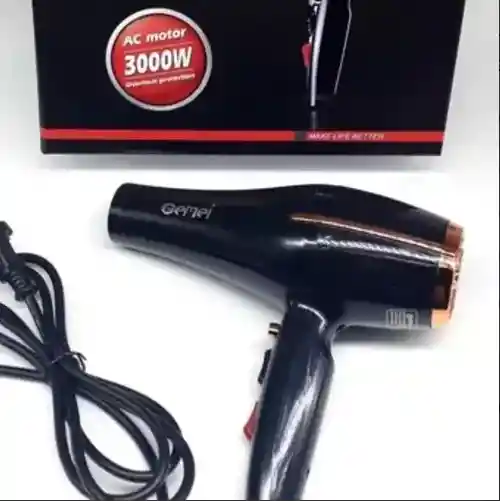 Secador De Cabello Profesional Gemei Gm-1780