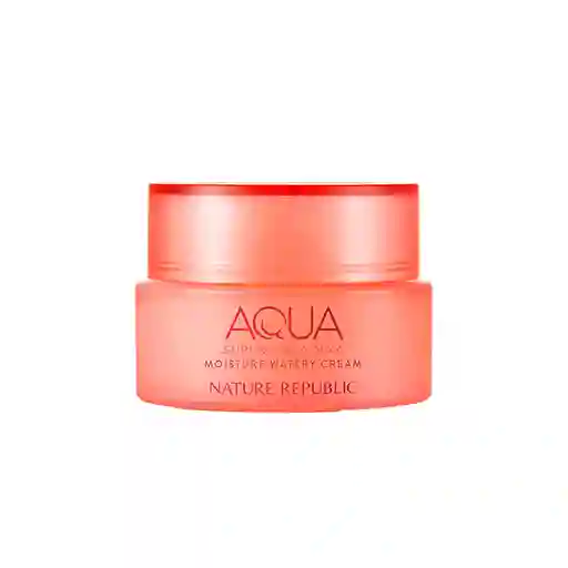 Super Aqua Moisture Watery Cream Dry Skin