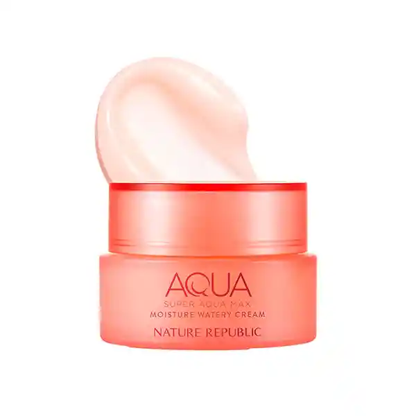 Super Aqua Moisture Watery Cream Dry Skin