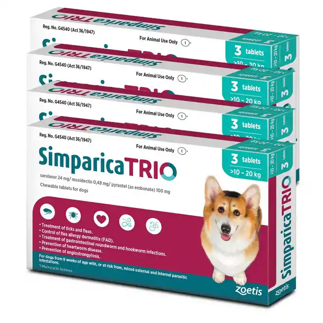 Simparica Trio (10-20 Kg) Azul