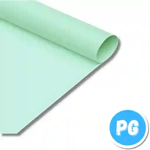 Cuarto Pliego Cartulina Pastel Verde