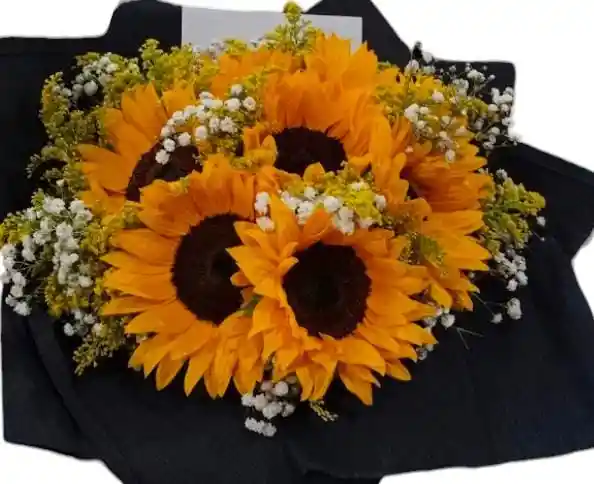 Girasoles En Bouquet