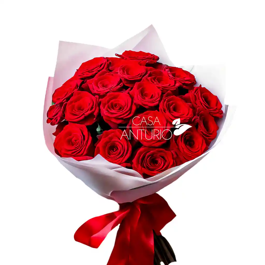 Bouquet De 24 Rosas Rojas