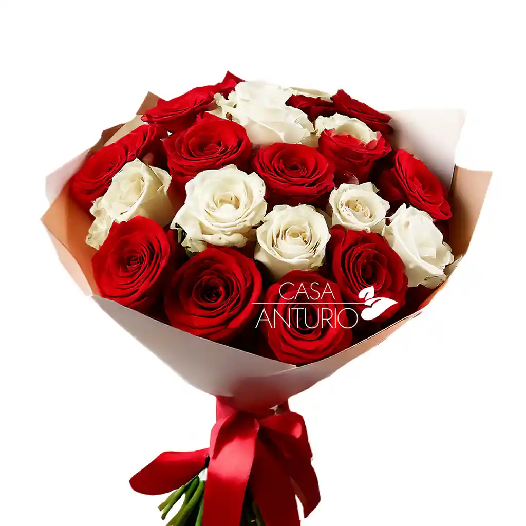Bouquet De 24 Rosas Rojas Y Blancas