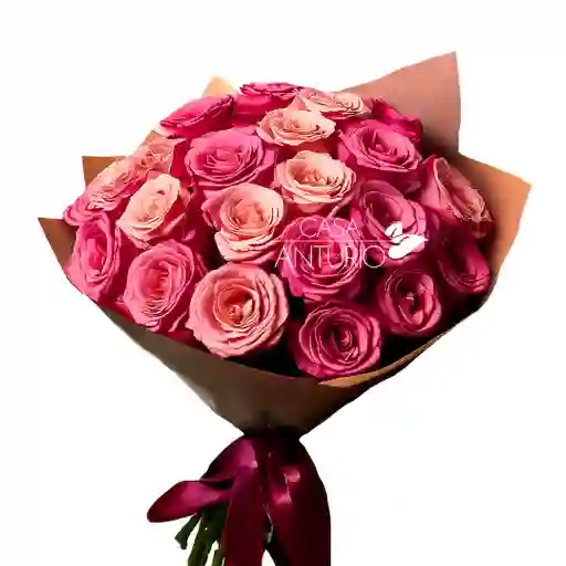 Bouquet De 24 Rosas Fucsia