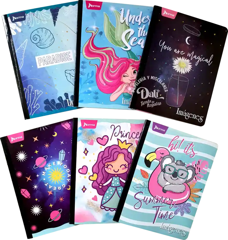 Cuaderno Cosido Norma 100 Hojas Cuadriculado Niña