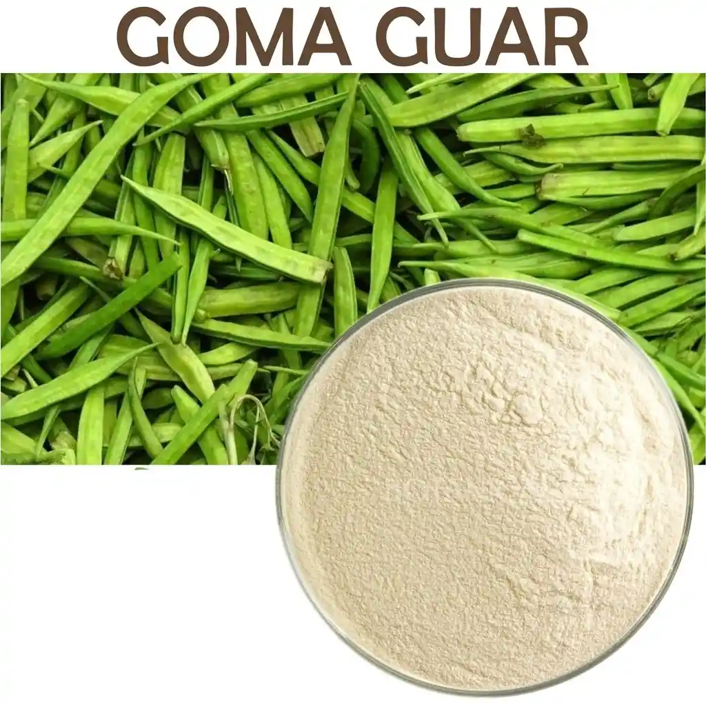 1x Goma Guar Original Aditivo Alimentos Gelificante Viscosante Comidas Enfermos 500 Gramos