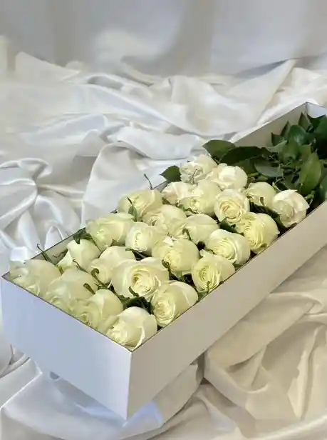 Caja Deluxe 24 Rosas Blancas