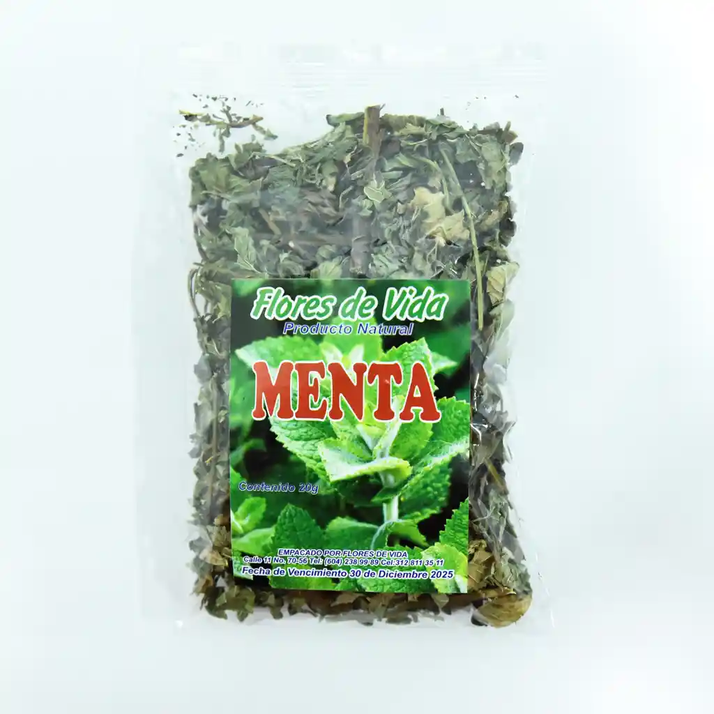 Menta