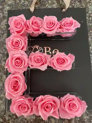 Inicial Letra E
