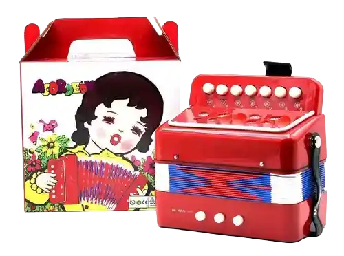 Juguete Acordeon Vallenato Musical Instrumento Niños