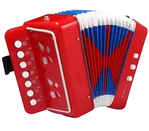 Juguete Acordeon Vallenato Musical Instrumento Niños