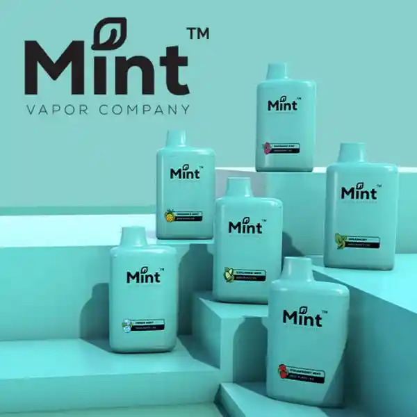 Mint Bars Spearmint 6500puff – Desechable