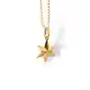 Cadena Con Estrella Grande