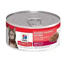 Hills Feline Adulto Salmon Lata X 5,5 Oz