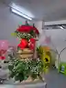 Ramo Bombom De Rosas Con Jp