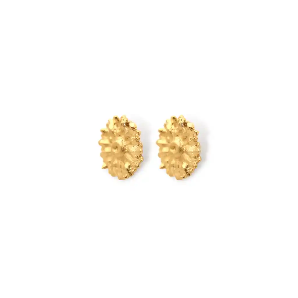 Aretes Con Flor De Margarita Pequeña