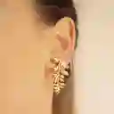 Aretes De Helecho Grande