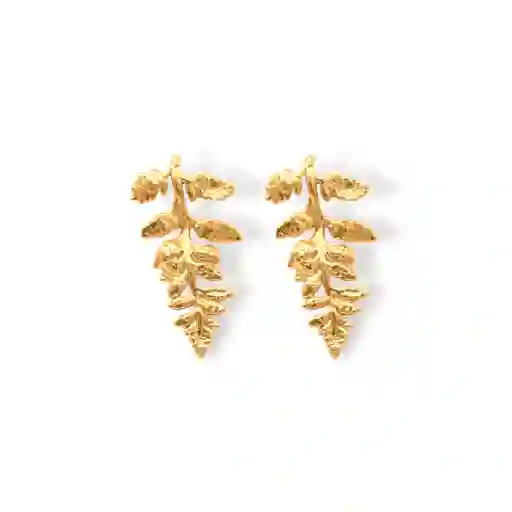 Aretes De Helecho Grande