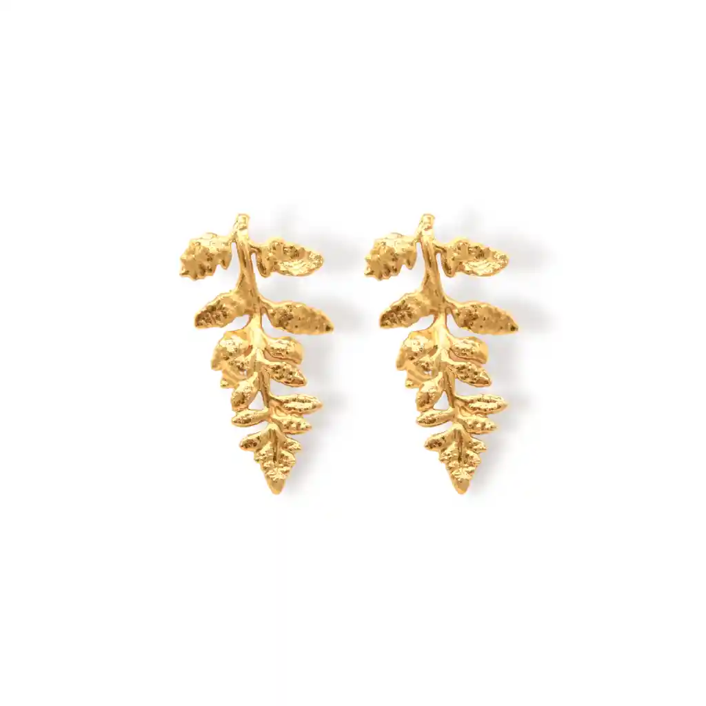Aretes De Helecho Grande