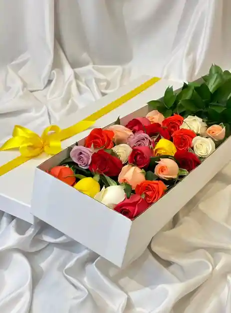 Caja Deluxe 24 Rosas Multicolor