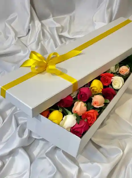 Caja Deluxe 24 Rosas Multicolor