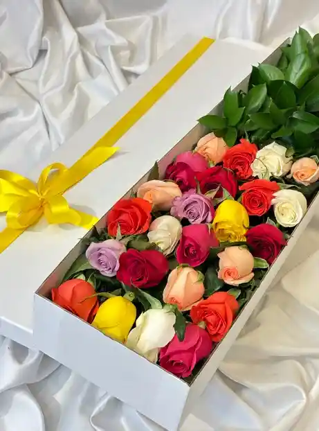 Caja Deluxe 24 Rosas Multicolor