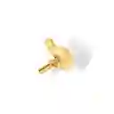 Anillo De Hongo