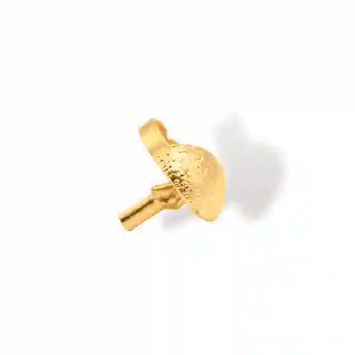 Anillo De Hongo
