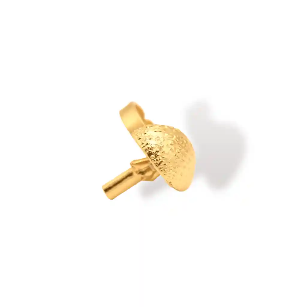 Anillo De Hongo
