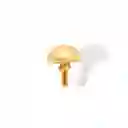 Anillo De Hongo