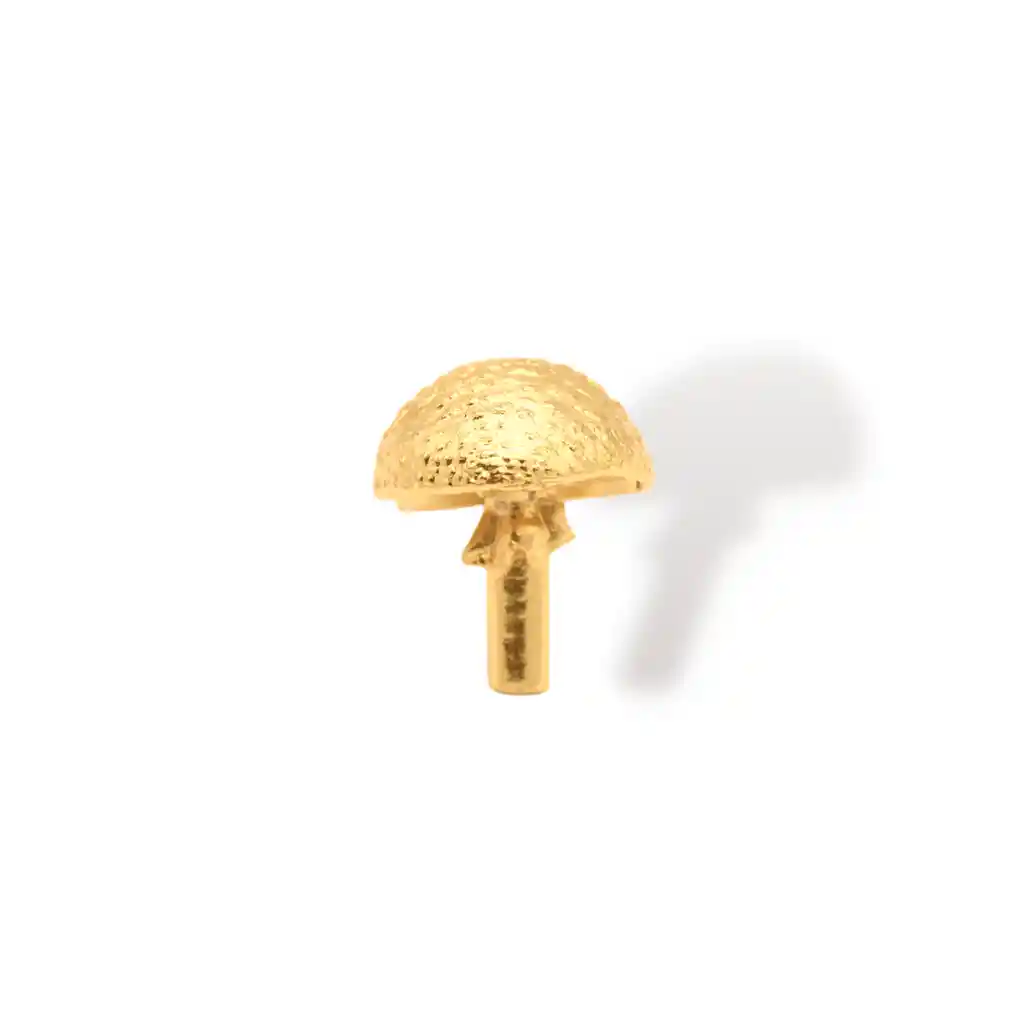 Anillo De Hongo